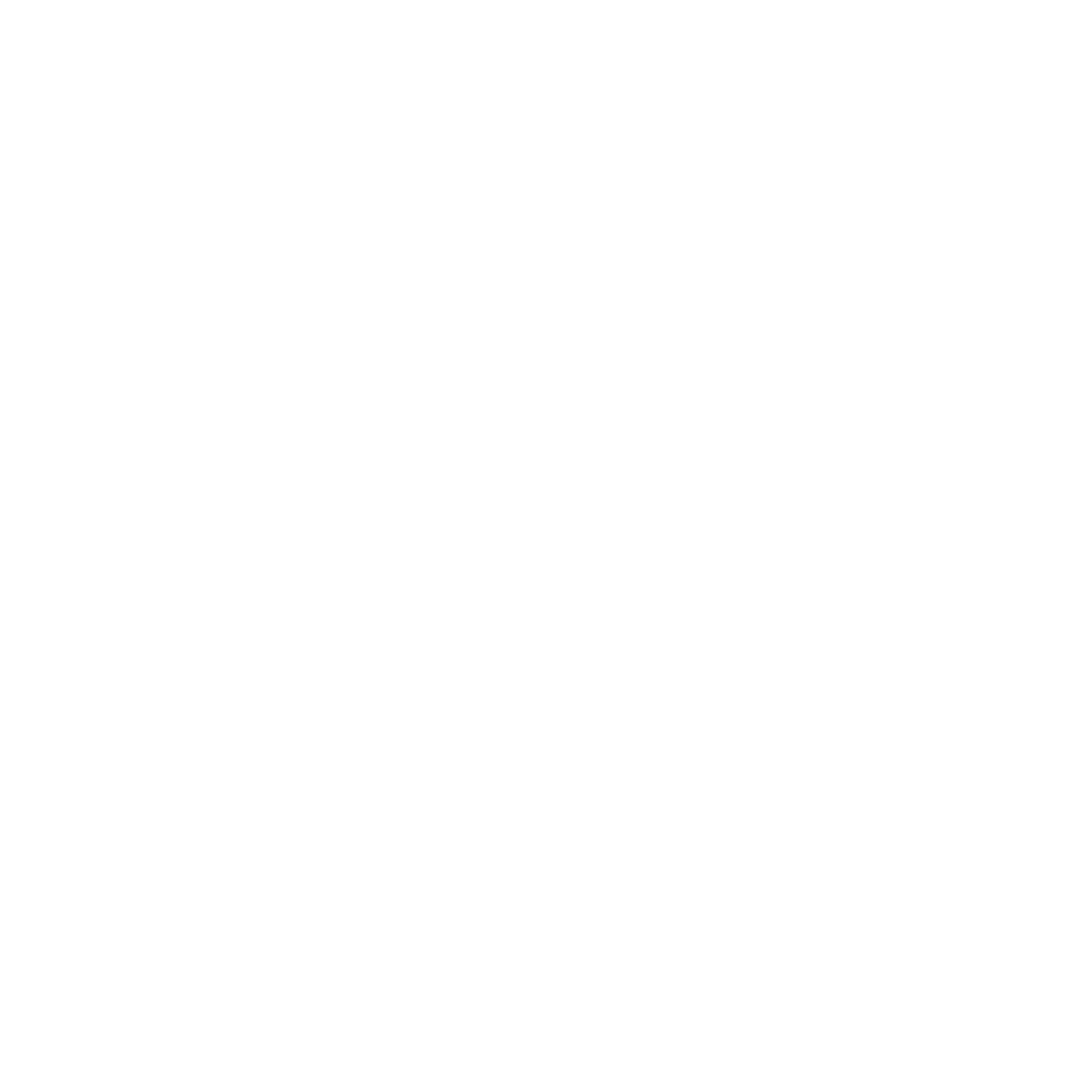 Website's Logo